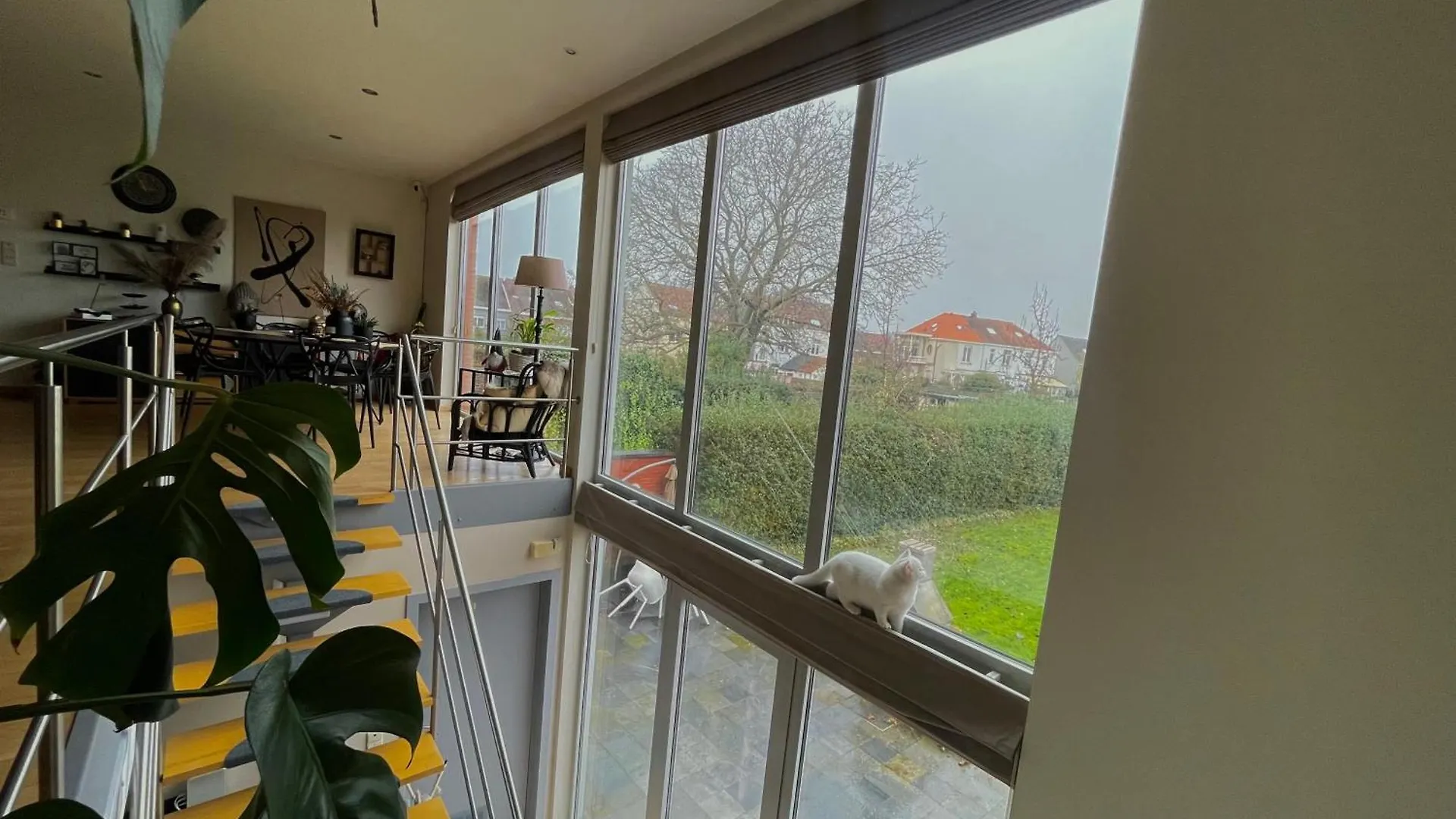 Dreamland Bed & Breakfast Zaventem