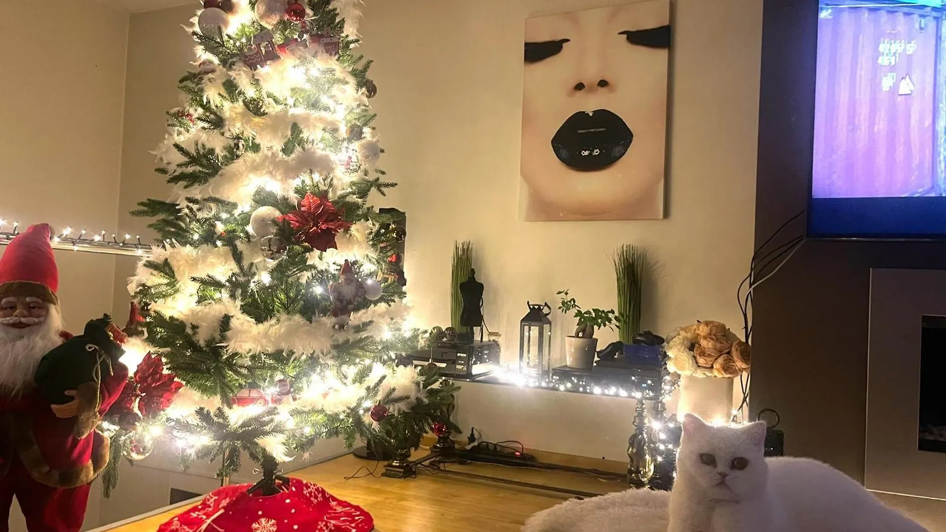 Dreamland Bed & Breakfast Zaventem Belgium
