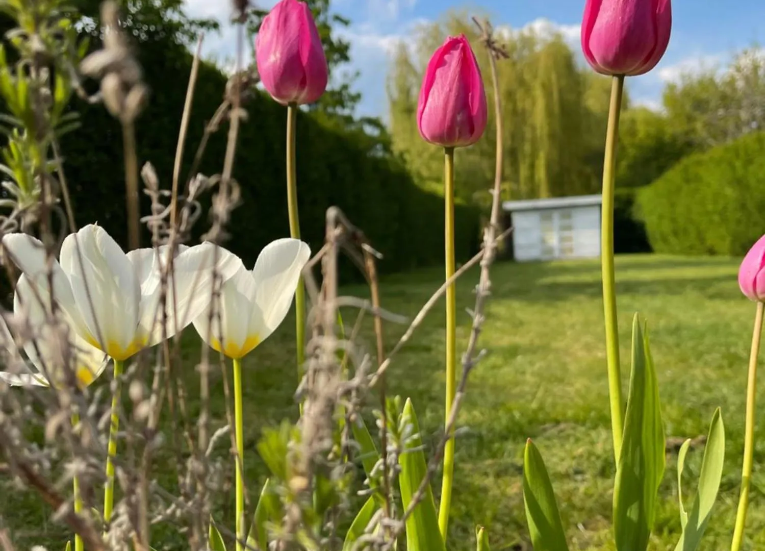 Dreamland Bed & Breakfast Zaventem 0*,  Belgium
